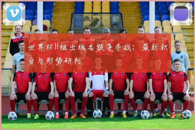 世界杯H组出线名额争夺战:最新积分与形势研判